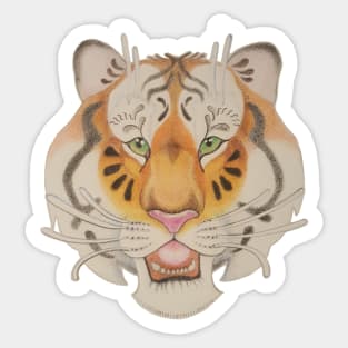 Tiger Drawing Sticker